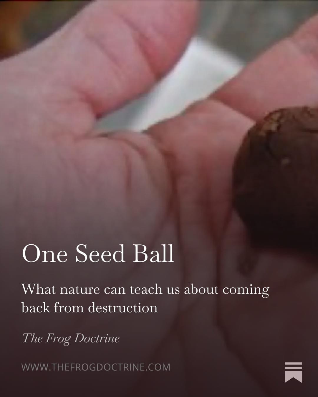 Featured Post