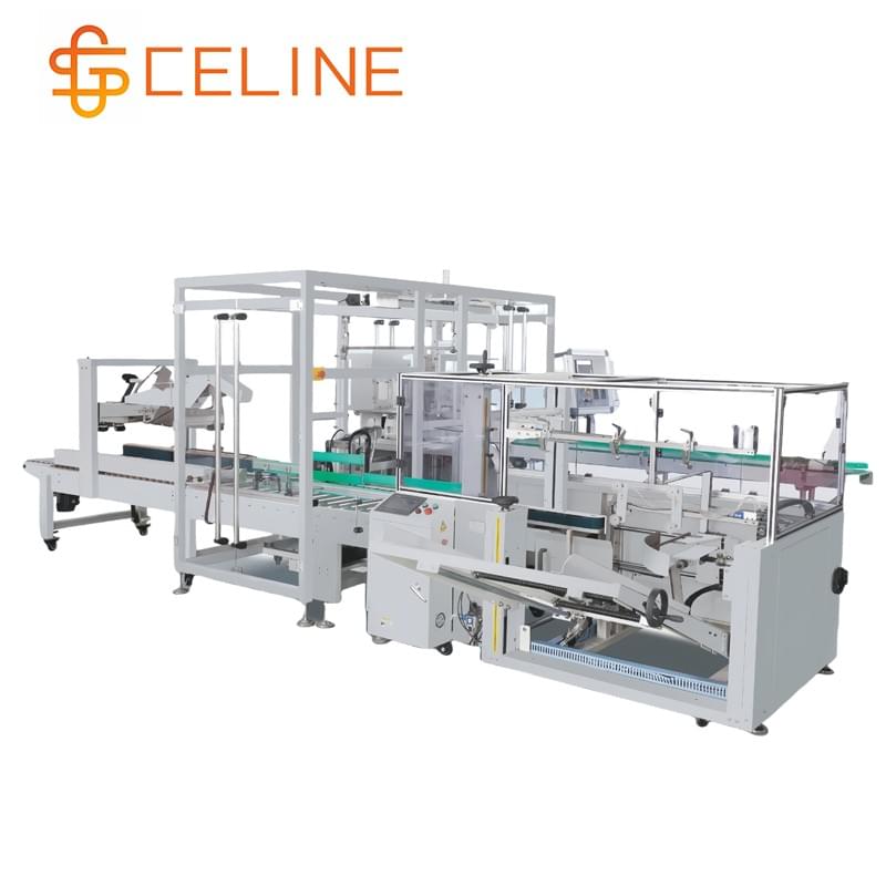  Automatic Case Packing Machine