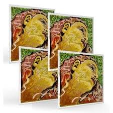 新入荷！Pirastro「Evah Pirazzi Neo」バイオリン弦 - シレーナ