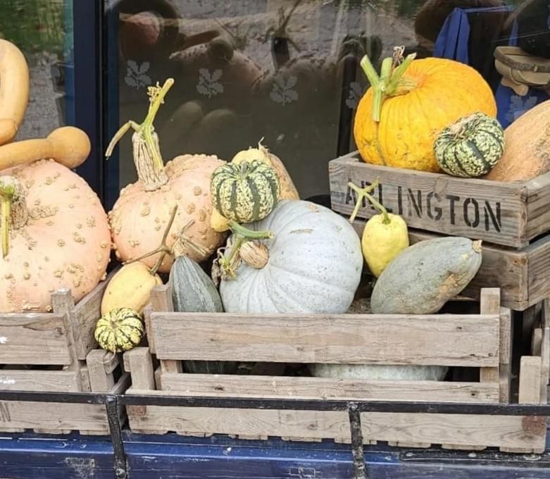 Pumpkins at the Arligton Autumnfest