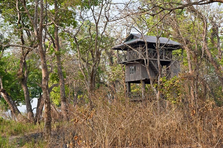 Jungle Tree House Stay in Chitwan Nepal
