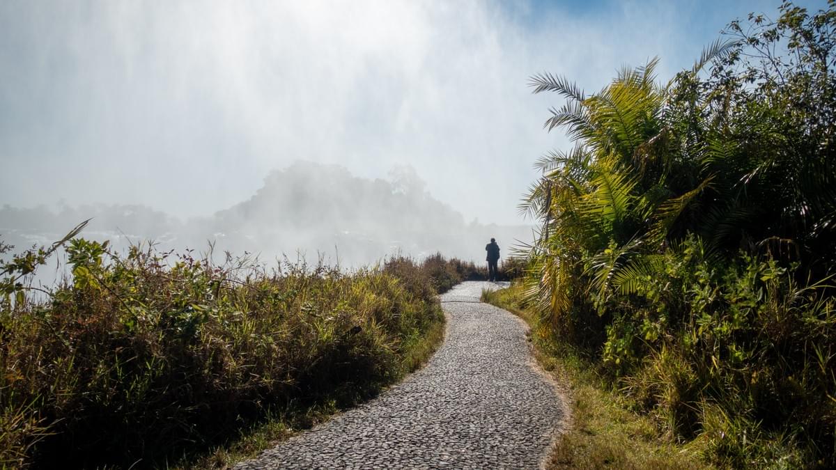Victoria Falls Guided Tour