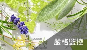 嚴格監控