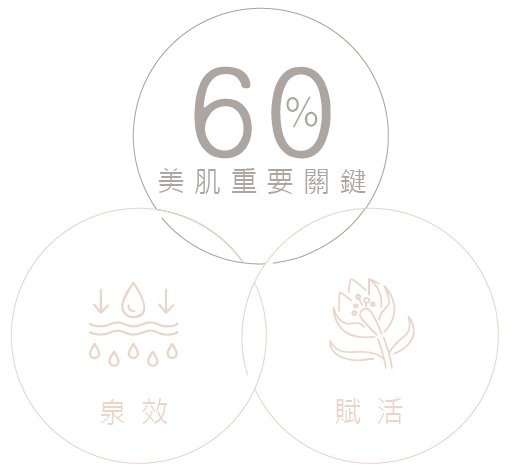 美肌重要關鍵
