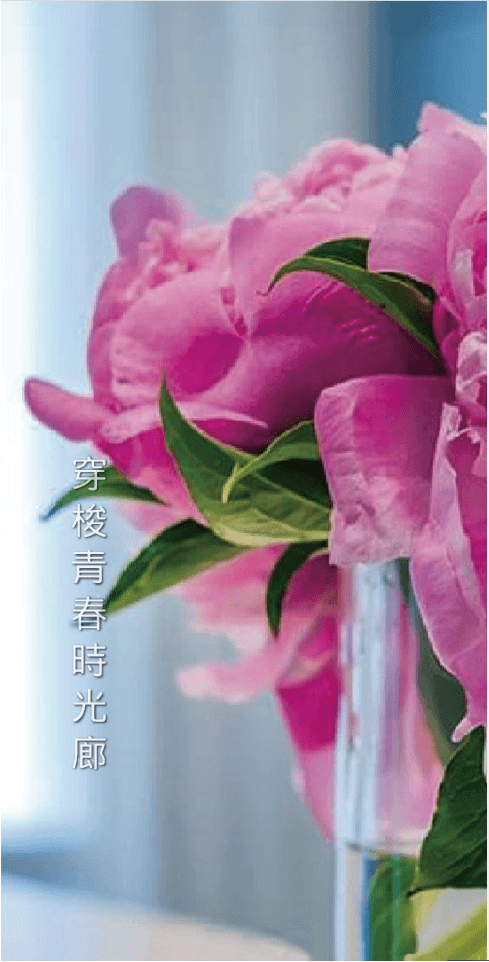 穿梭青春時光廊