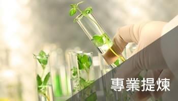 專業提煉