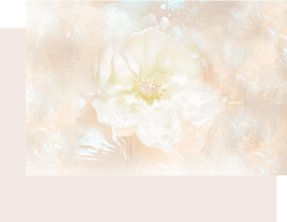 杏酸 花菁 瞬速更新 三重極淨