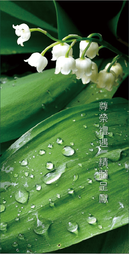 尊榮禮遇 精髓呈獻