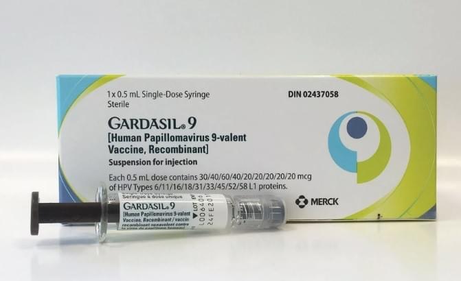 Vaxprosalud vacunación en empresas, colegios,universidades e instituciones