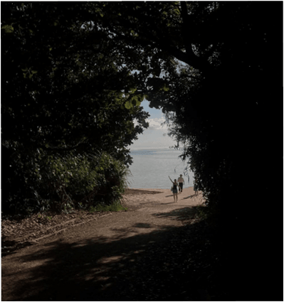 石垣島自潛 Ishigaki freediving