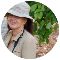 Eleanor O'Hanlon Way of the Animal Powers