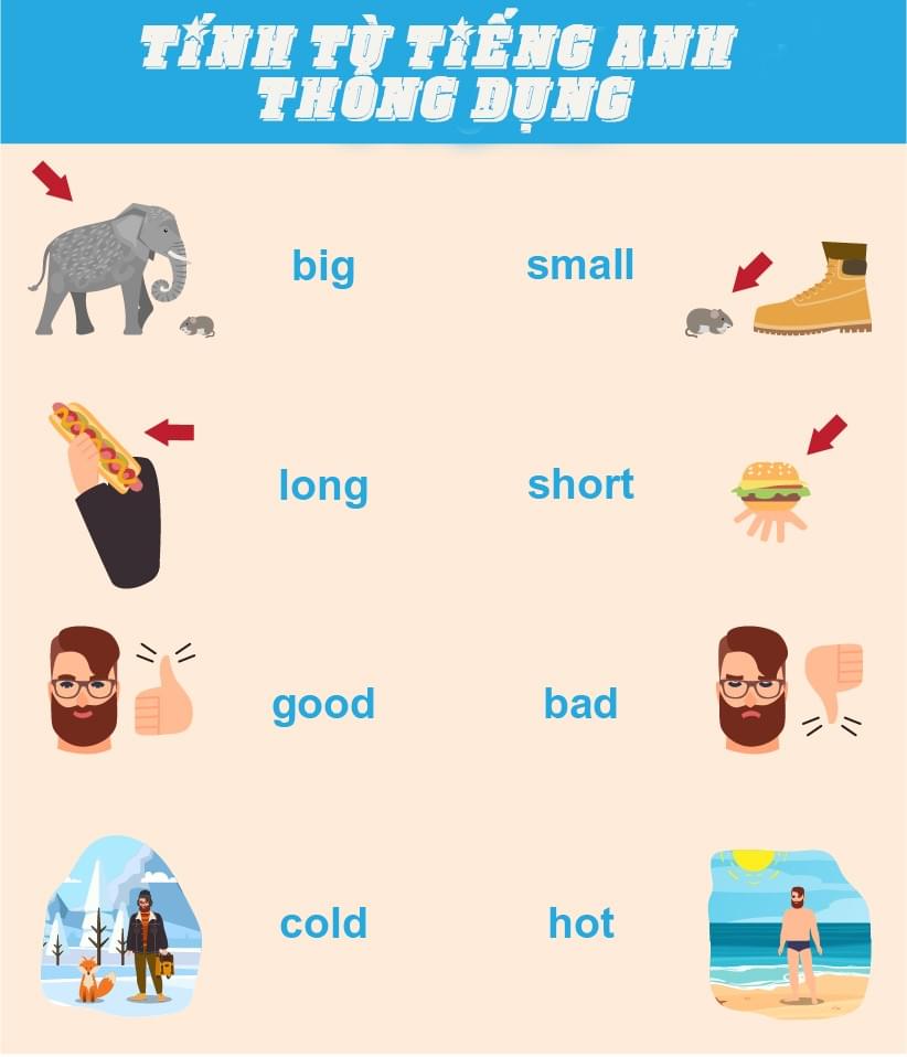 Tính từ trong tiếng Anh