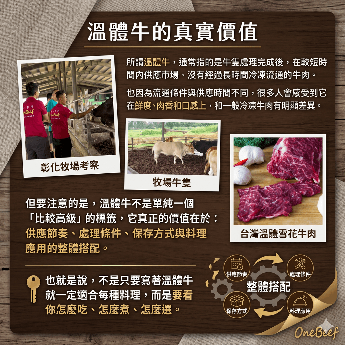 台灣溫體牛-第一牛肉