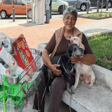 Street Dogs charity Mexico 