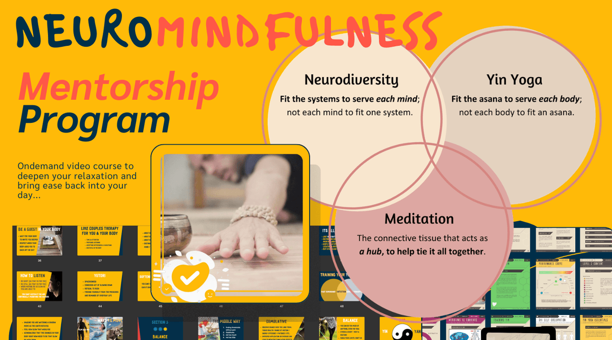 Neuro-Mindfulness Mentorship | 1-1 with T.J. Maher