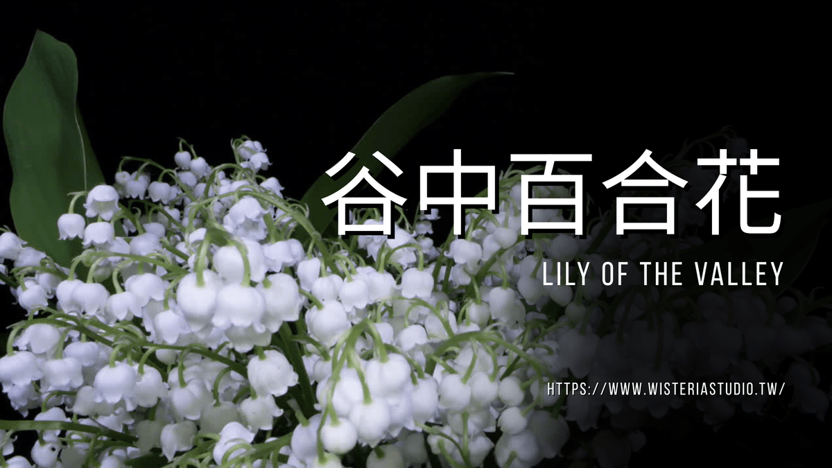 第一屆「敬拜詩歌的極簡編曲」線上團班 11/4 週二開課 ｜  10/20 前早鳥價 $4,800元 (再送$2,400元購書折抵)
