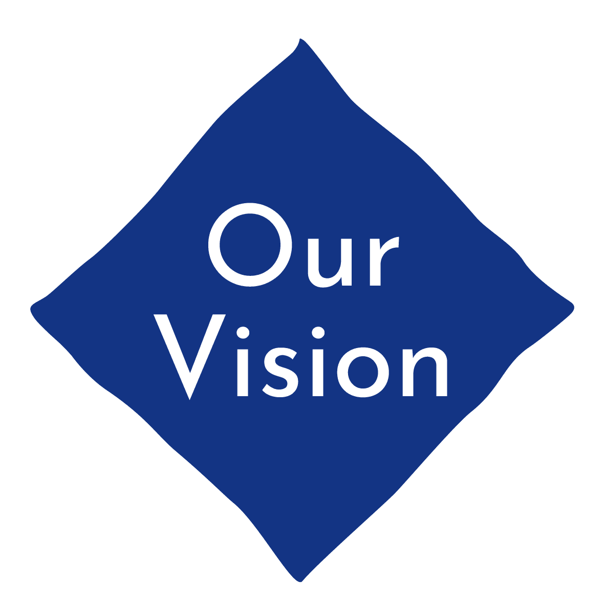 our vision