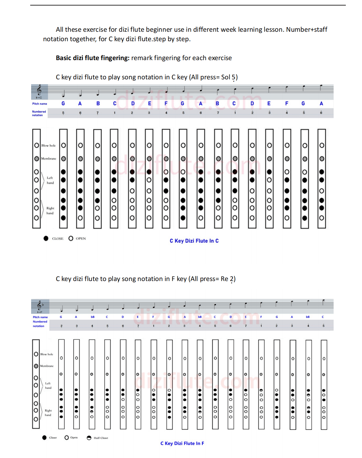 C Key Dizi Flute Learning Exercise Notation Book (Step by step for beginner) 