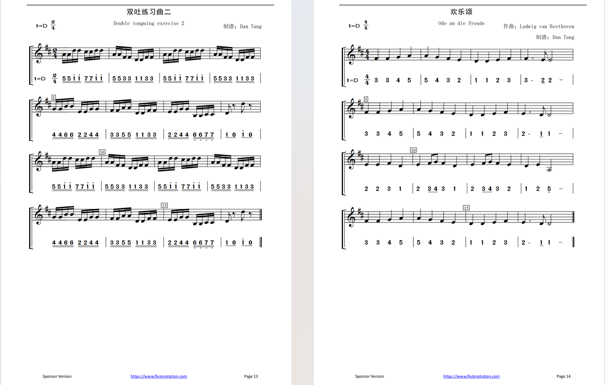 C key+D Key Dizi Flute Learning Exercise Notation Book (Step by step for beginner)