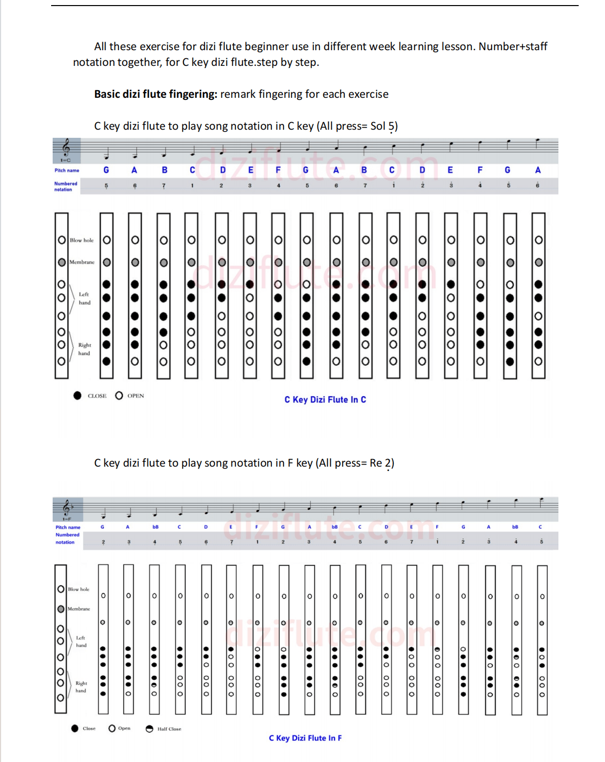 C Key Dizi Flute Learning Exercise Notation Book (Step by step for beginner) 