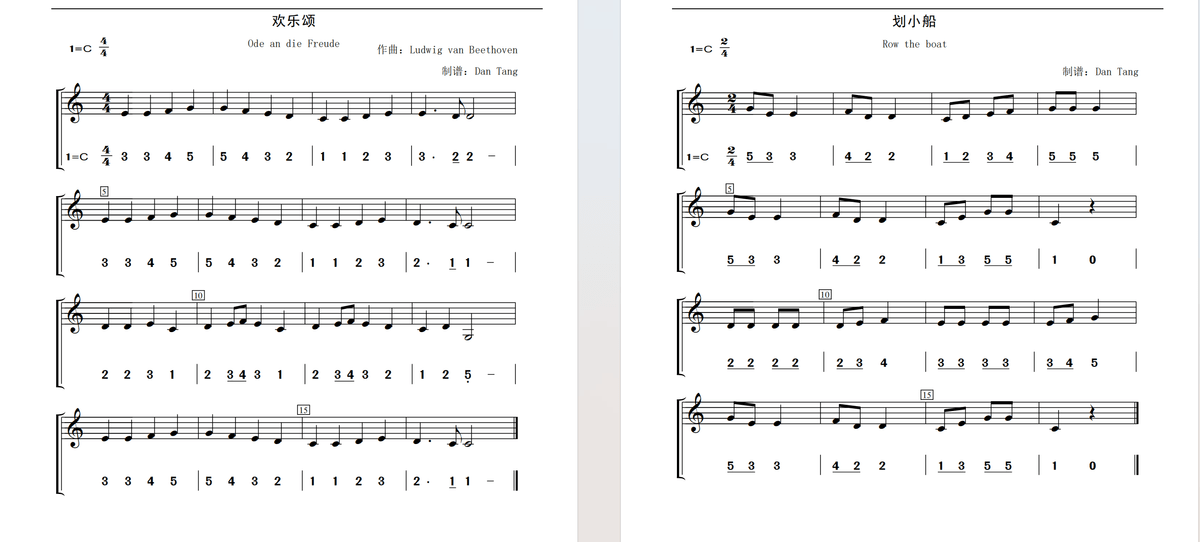 C key+D Key Dizi Flute Learning Exercise Notation Book (Step by step for beginner)