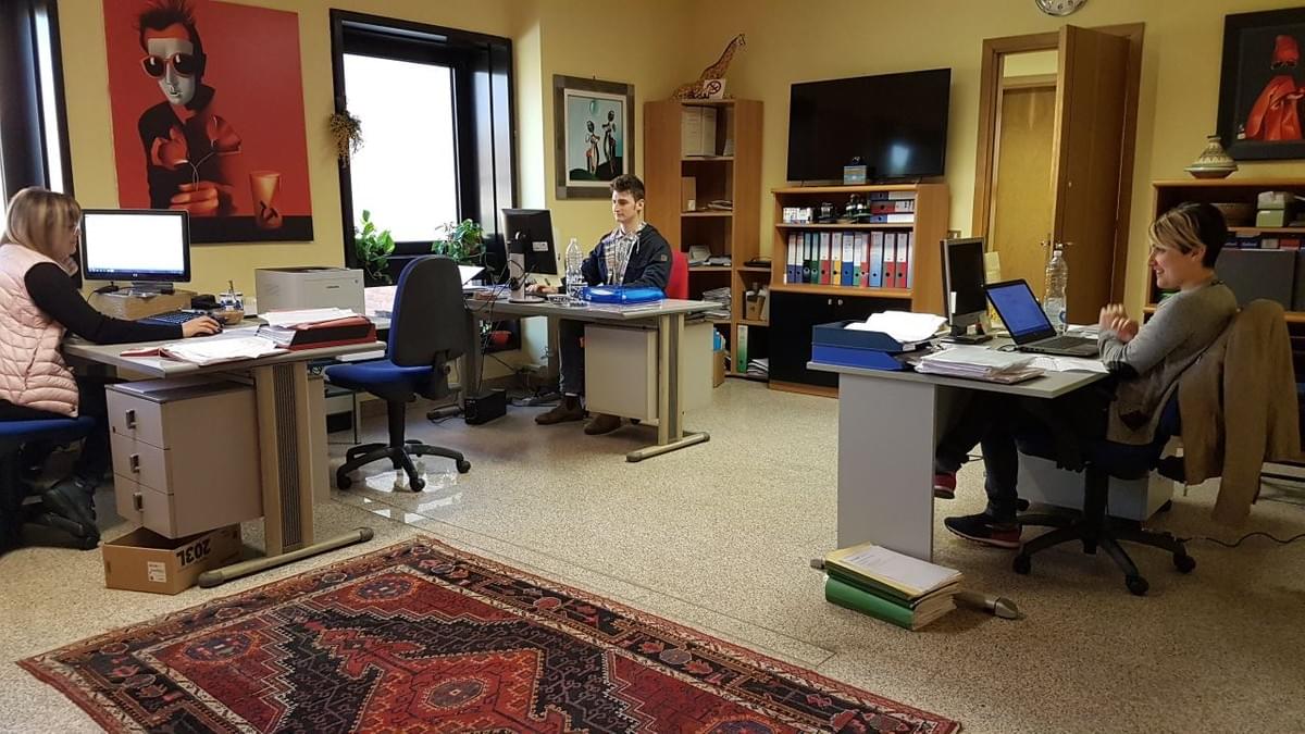 Italy professinal Exports