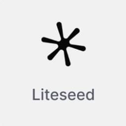 https://twitter.com/liteseed_xyz