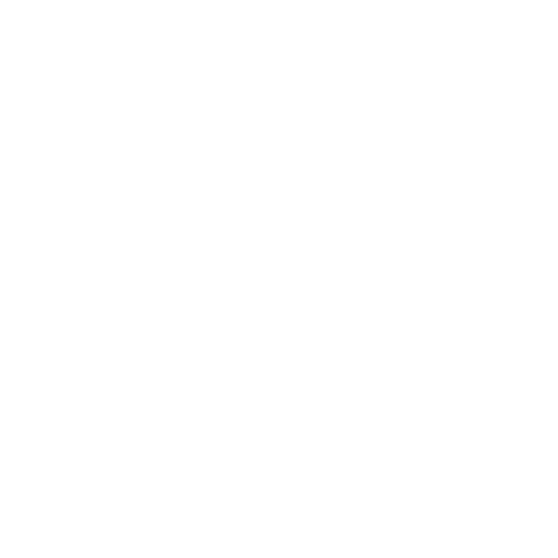 APH CONSEIL OPERATIONNEL