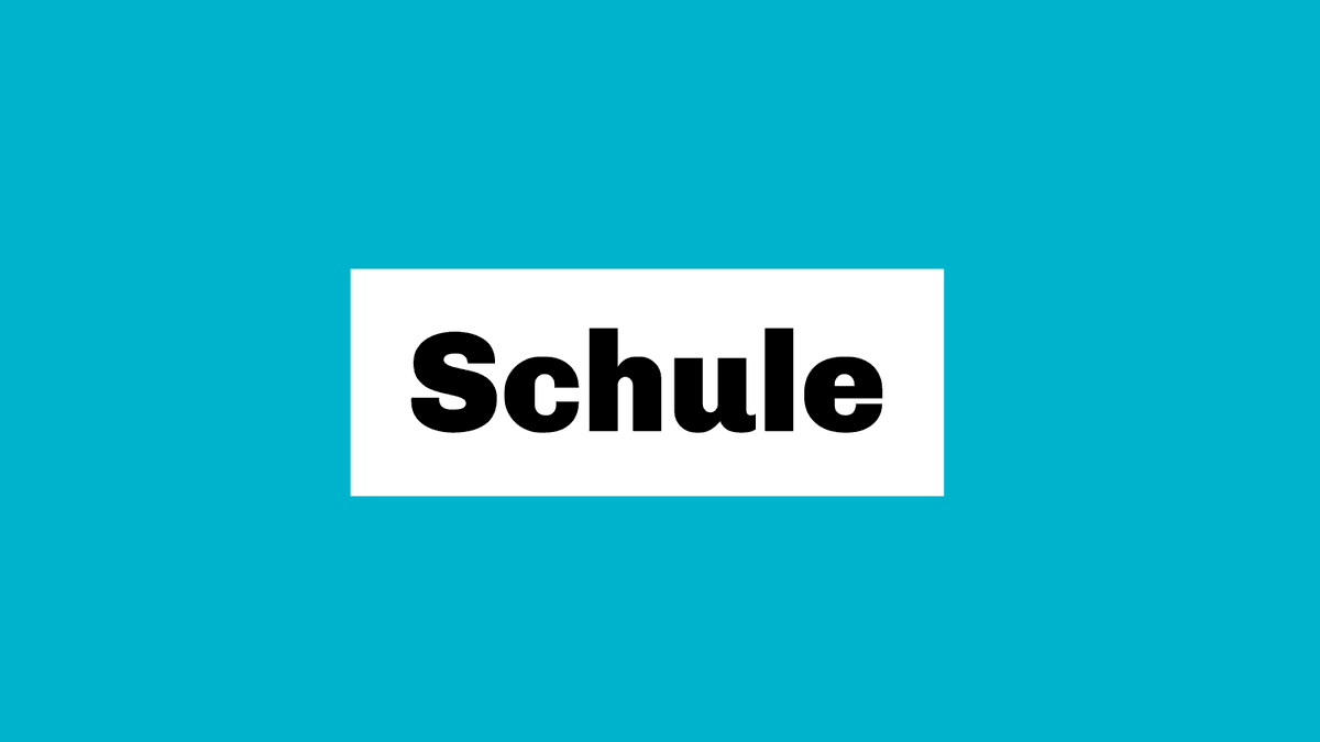 Lars Bocian CDU Logo Schule