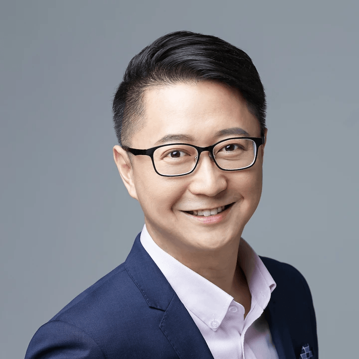 副主席: 林智祥先生