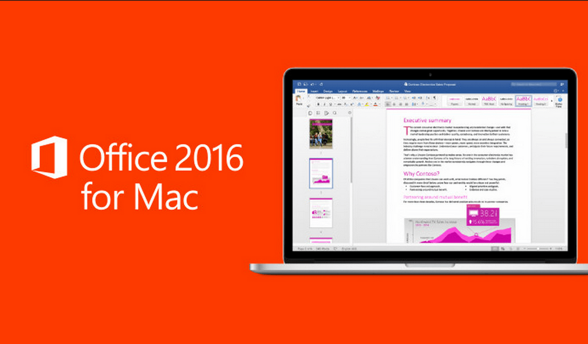 Microsoft Office 2013 Language Pack PTPT Free Download