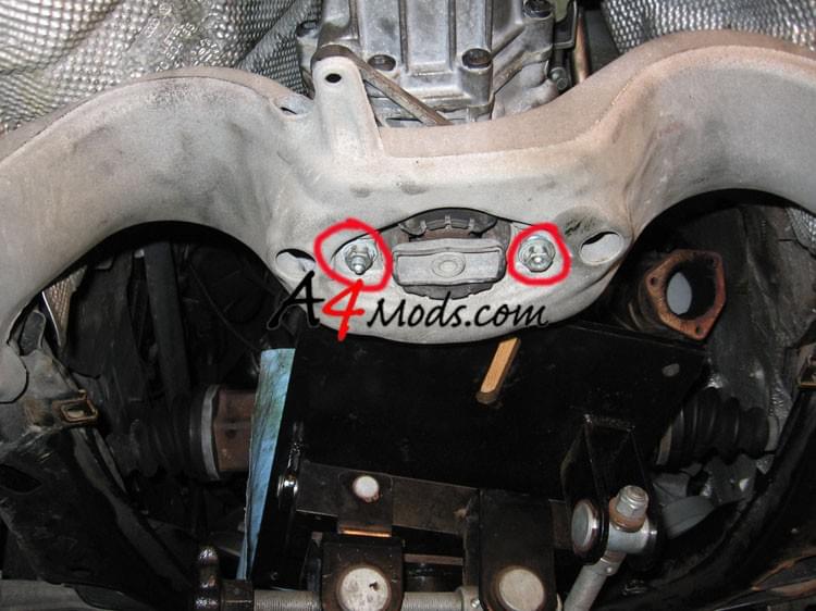 Biotin visual data 5