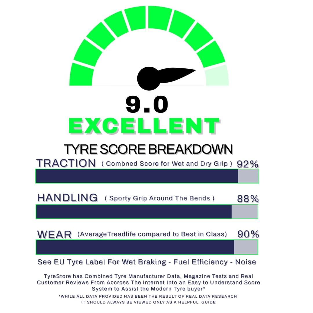 GOODYEAR EFFICIENT GRIP PERFORMANCE 2 - Outstanding Wear - Safety - Comfort