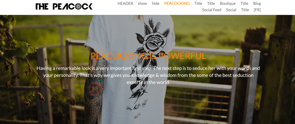 Come guadagnare su TikTok come Peacock