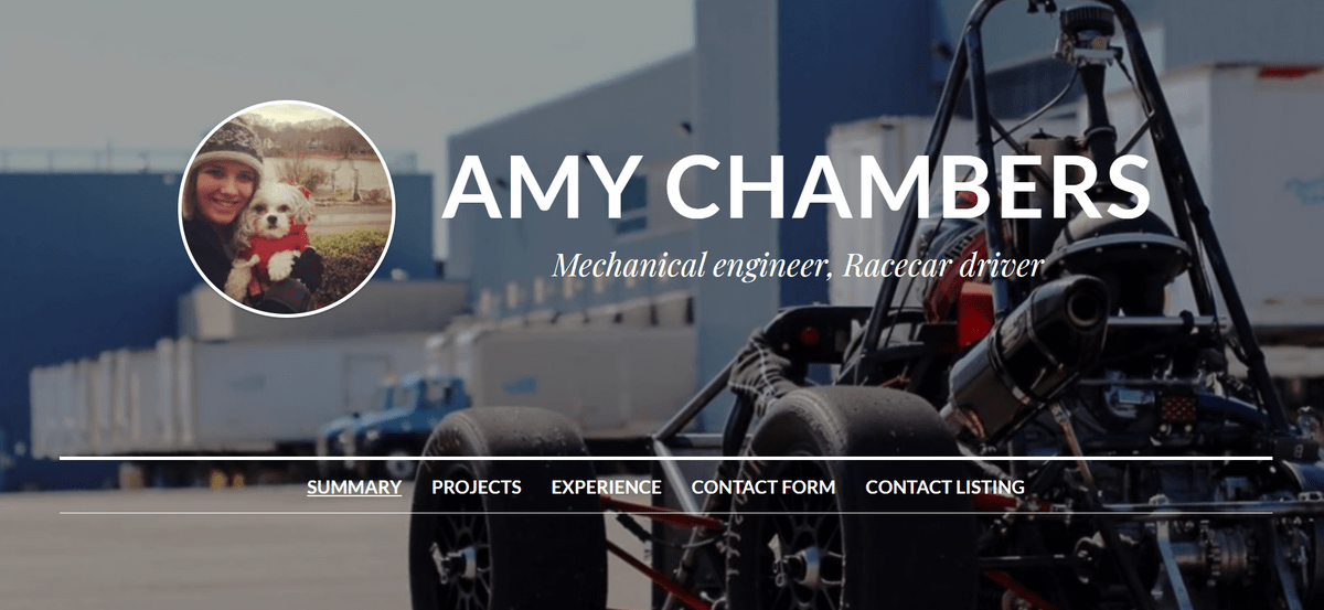Create a car dealer website like Amy
