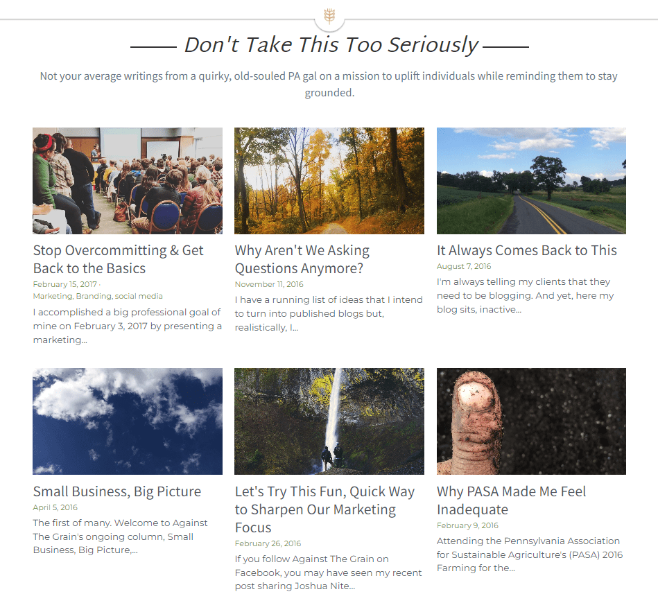 Sito web Strikingly Against the Grain