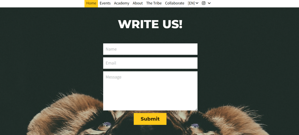 Free business email address like Playfight