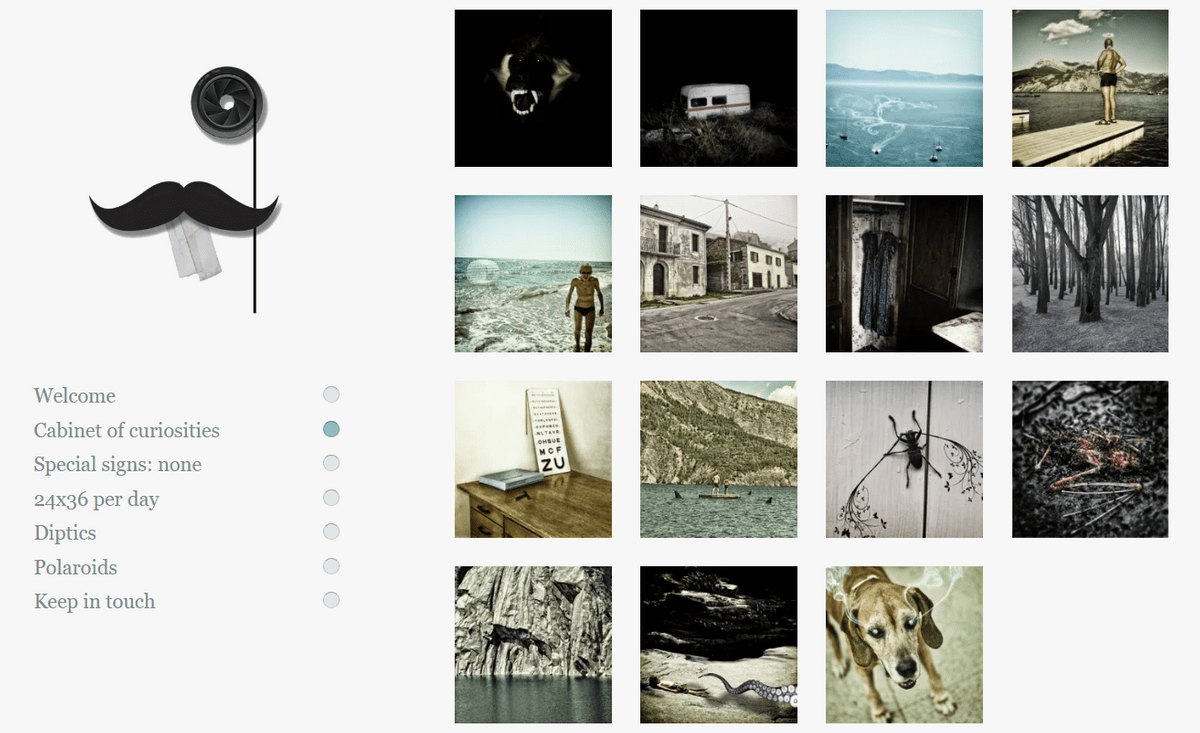 Promuovi contenuti come Zinzi