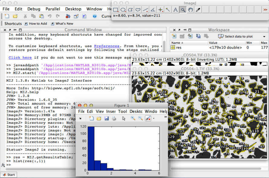 Imagej Software Free Download For Windows