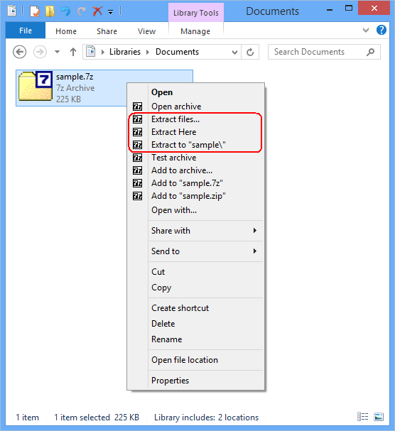 What is dmg file type