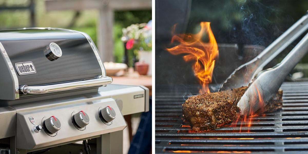 Mastering the Art of Gas Grilling Things Need to Know