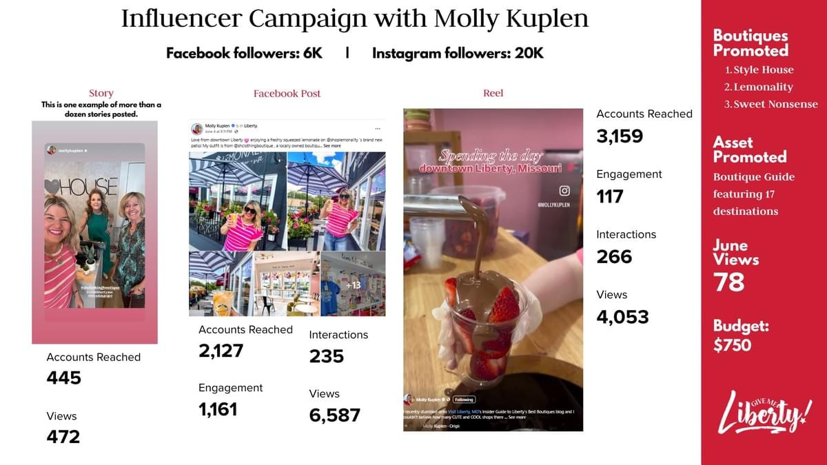 Influencer Campaigns