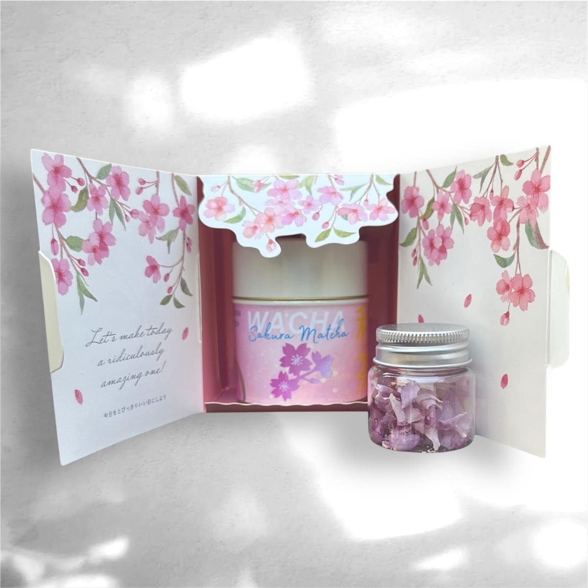 WACHAの桜抹茶ギフトボックスセット。ピンク色のSAKURA MATCHAと桜の花びらをあしらった春限定の抹茶ギフト。