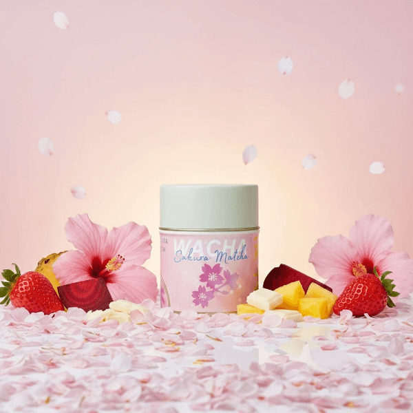 WACHA Sakura Botanical Matcha with real cherry blossom powder