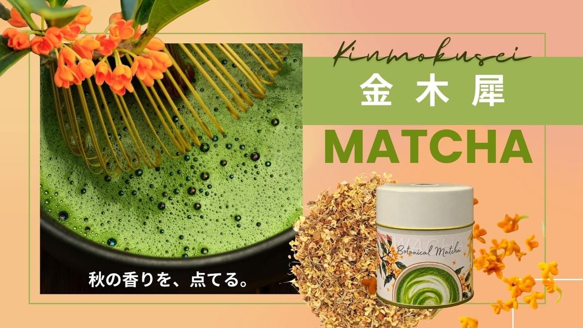 金木犀の花と葉に囲まれた、WACHA金木犀抹茶の茶缶