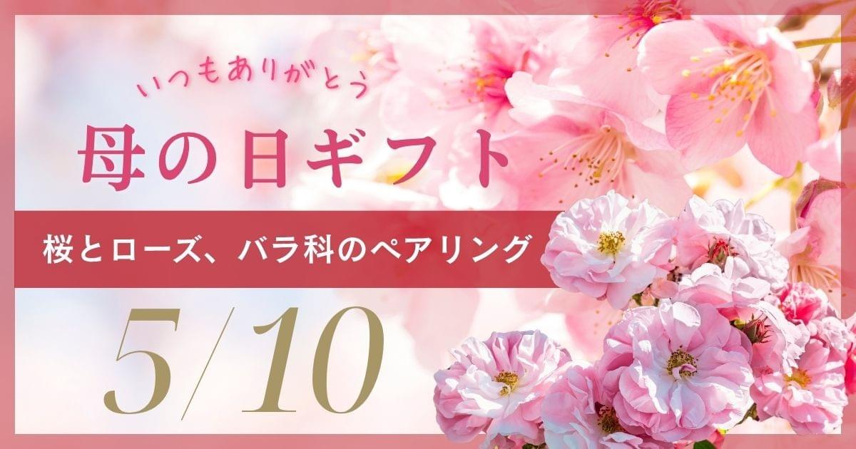 母の日限定 桜抹茶リチュアルギフトセット｜桜とローズのボタニカルペアリング・ピンク抹茶とヴィーガンスイーツ｜WACHA