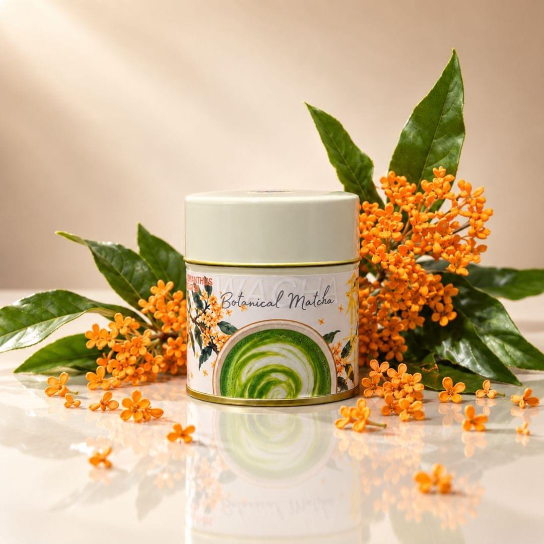 WACHA Osmanthus Matcha 20 g tin surrounded by fresh osmanthus flowers WACHA Osmanthus Matcha 20 g tin surrounded by fresh osmanthus flowers
