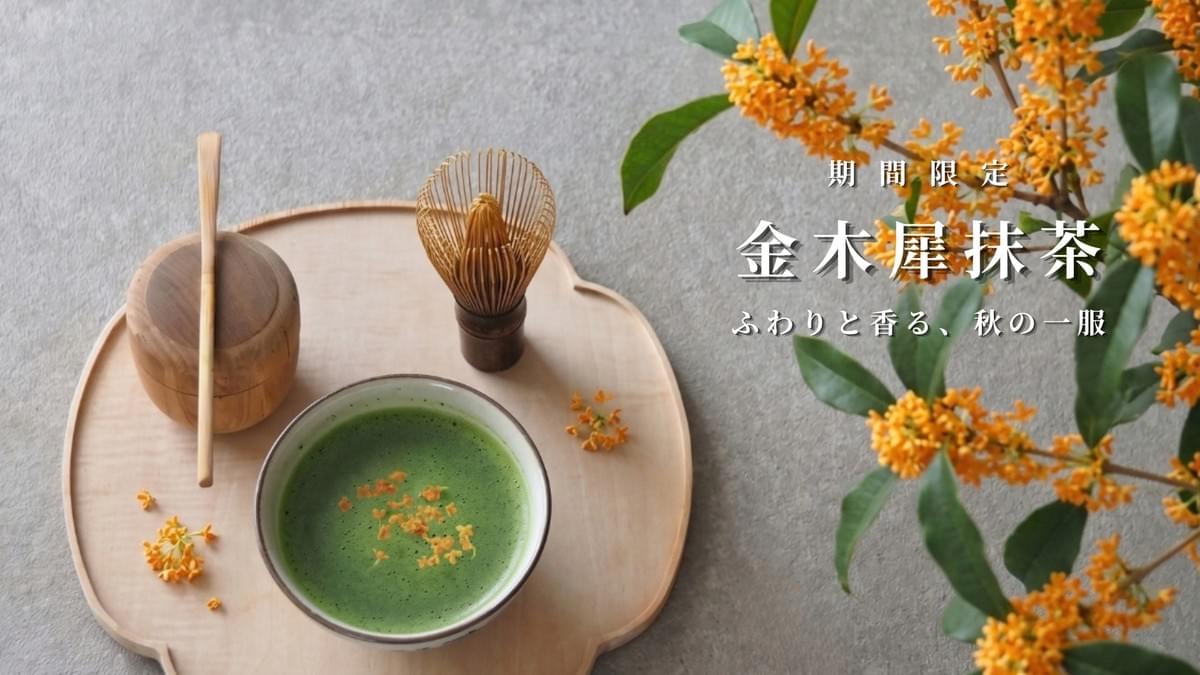 金木犀の花を浮かべた金木犀抹茶と茶筅、茶杓を自然光の中に配したWACHA秋限定ボタニカル抹茶