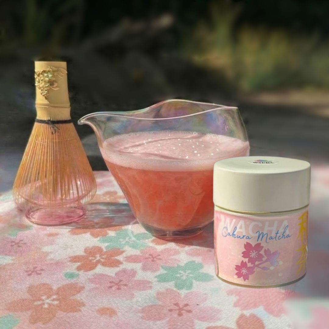WACHAの桜抹茶「SAKURA MATCHA」。ピンク色の抹茶ドリンクで、桜の花びらが浮かぶ春限定の一杯。