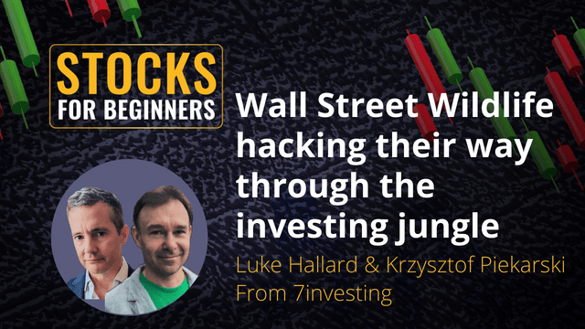 Wall Street Wildlife hacking their way through the investing jungle. Luke Hallard & Krzysztof Piekarski  From 7investing.